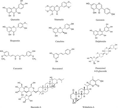 Oxidative stress-mediated memory impairment during aging and its therapeutic intervention by natural bioactive compounds